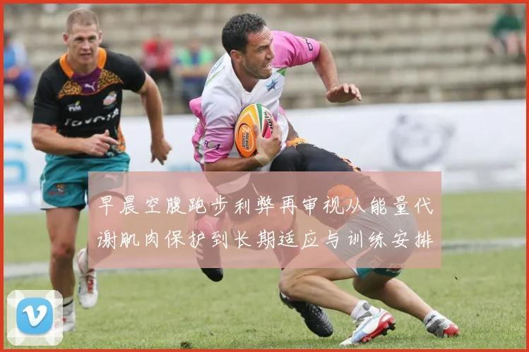 早晨空腹跑步利弊再审视从能量代谢肌肉保护到长期适应与训练安排