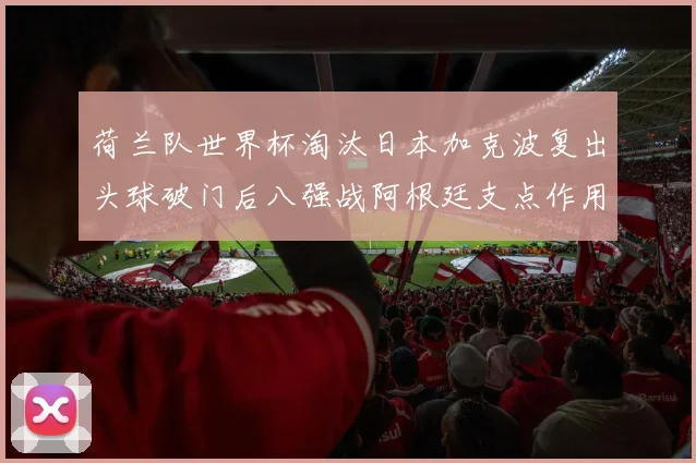 荷兰队世界杯淘汰日本加克波复出头球破门后八强战阿根廷支点作用评估
